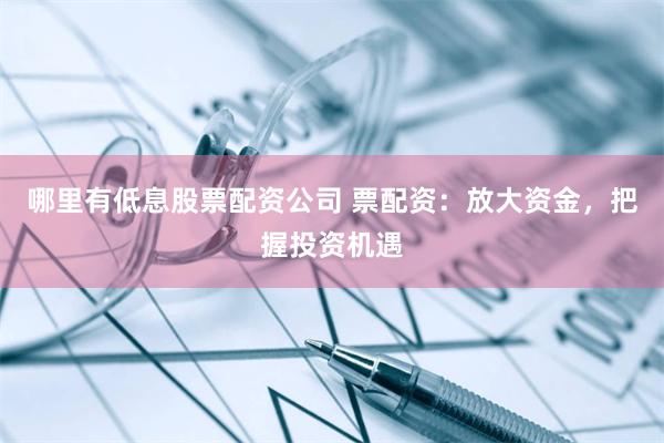 哪里有低息股票配资公司 票配资：放大资金，把握投资机遇