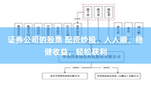 证券公司的股票 配资炒股，人人顺，稳健收益，轻松获利
