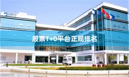 股票T+0平台正规排名