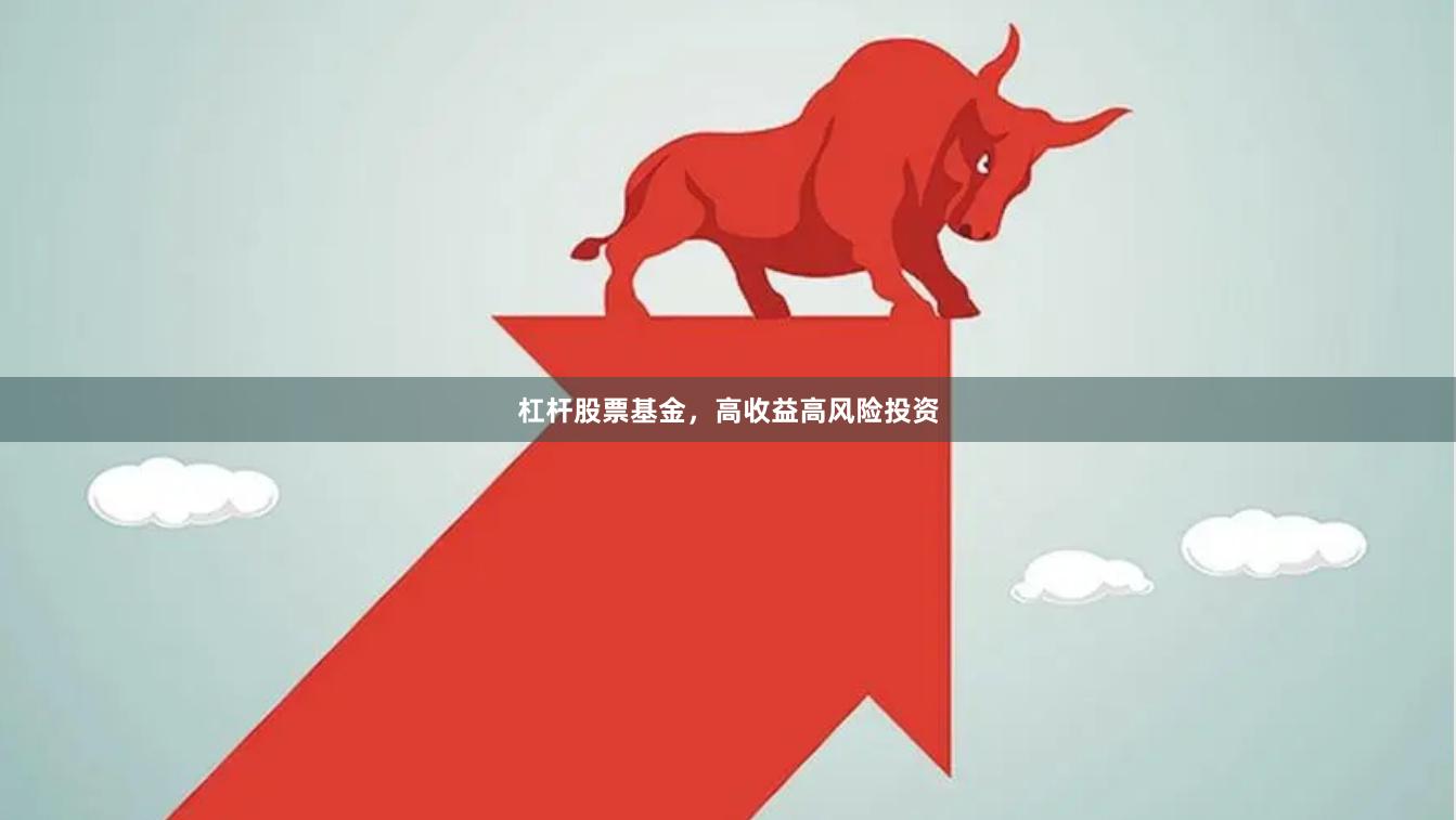 杠杆股票基金，高收益高风险投资