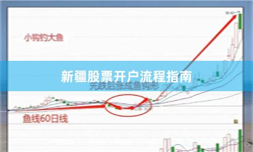 新疆股票开户流程指南
